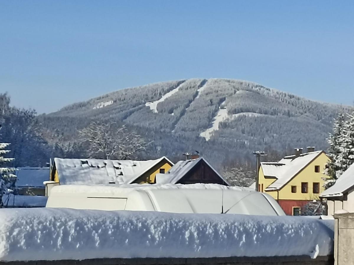 Penzion U Haliru Mladé Buky Exteriér fotografie