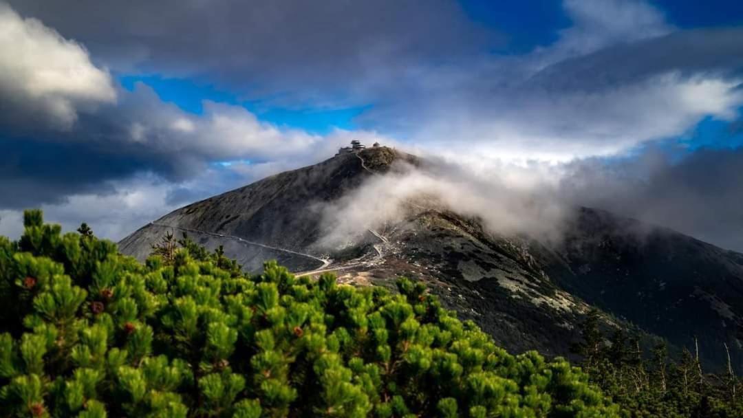 Penzion U Haliru Mladé Buky Exteriér fotografie